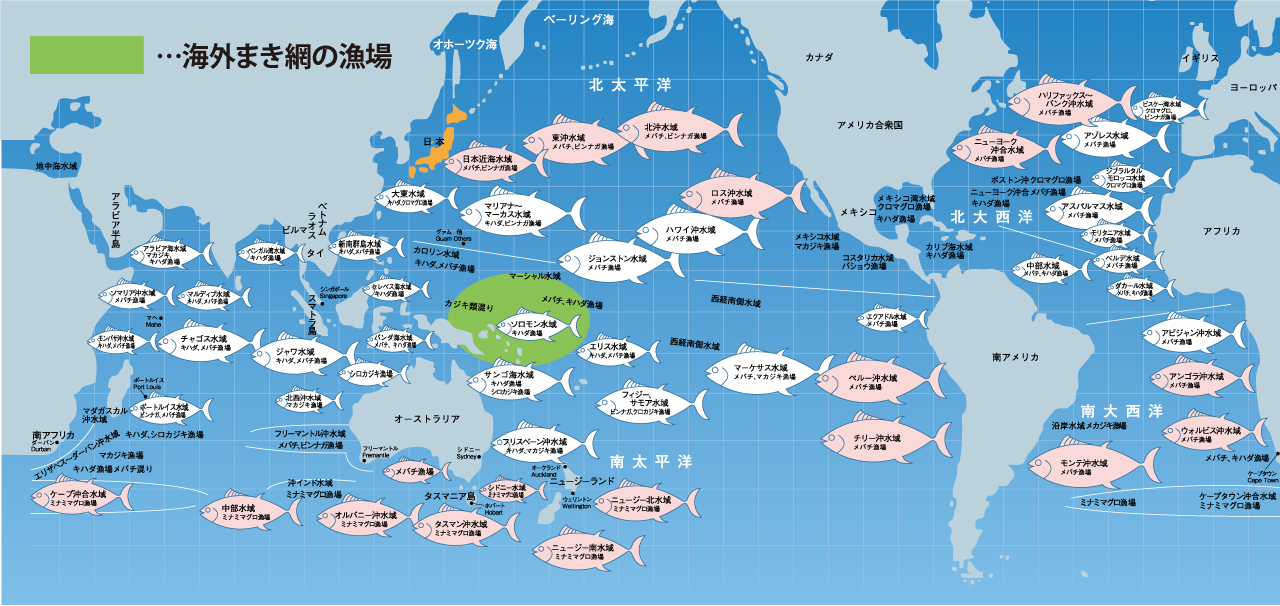 遠洋船操業海域